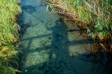 Selfie of beautiful shade loving happy couple kissing 