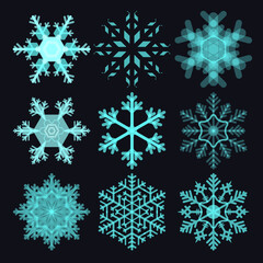 Many collection of translucent Snow flake crystal in winter season for decoration, gift, weather and etc.