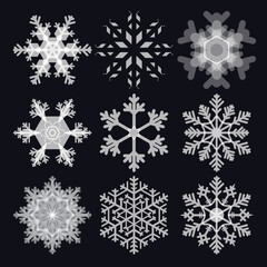 Many collection of translucent Snow flake crystal in winter season for decoration, gift, weather and etc.