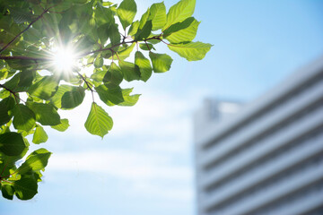 マンション　団地　イメージ