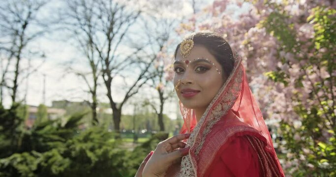 Portrait of Elegant Indian Woman in Traditional   Sari dress and Golden Jewelry on Hair and Face standing near flowering Sakura trees