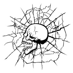 Skull in the web