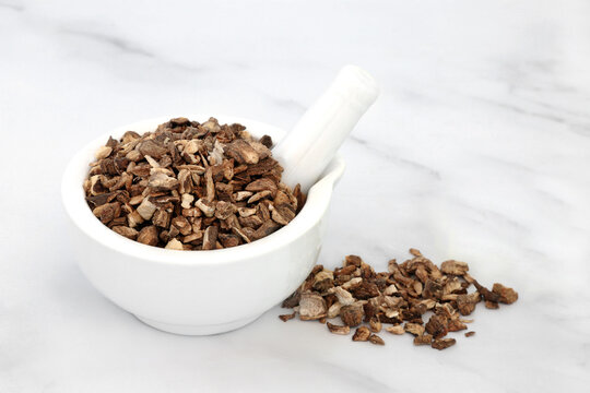 Burdock root herb used in herbal medicine to treat psoriasis, acne, anorexia nervosa, rheumatism, gout,  fever and colds. On marble background. Arctium.