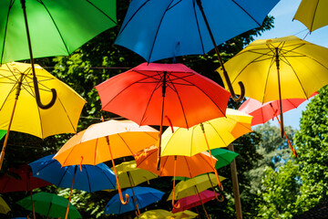 Fototapeta na wymiar Colorful umbrellas in the park