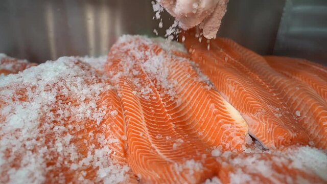 Delicious healthy colorful fish fillets beeing salted by hand with white glove - Closeup with texture and motion - Handheld shallow depth slow motion