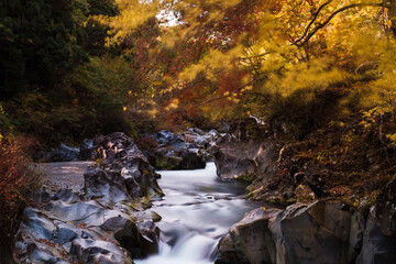 waterfall in autumn