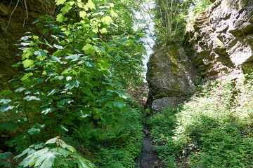 Wolfsschlucht rocky gorge with imposing rocks below Ebersteinburg in Baden-Wuerttemberg