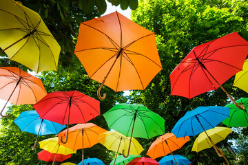 Obraz premium colorful umbrellas in the park