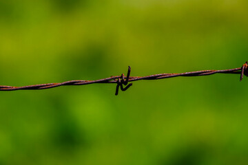 barbed wire fence