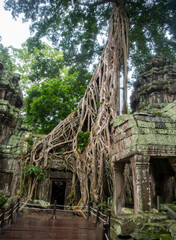  Та Prohm is the largest temple, it rains in the rainy season.  Restorers spared banyan trees...