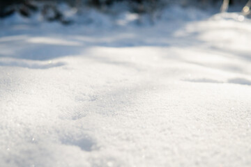 Fototapeta na wymiar Animal traces in the white Snow. Winter wildlife in the Swedish forest.