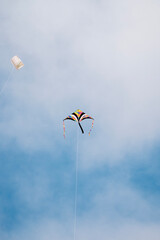 kite in the sky