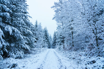 Schnee im Odenwald