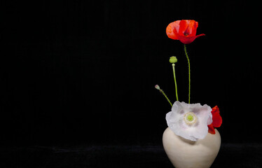 White and red wild flowers in an antique chinese porcelain with a black background