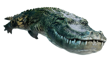 Obraz premium 3D Rendering Green Alligator on White