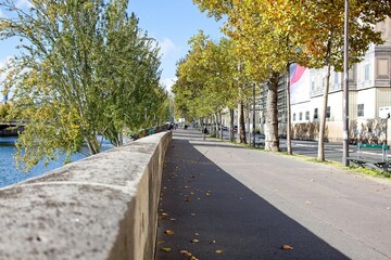 street in autumn in the city