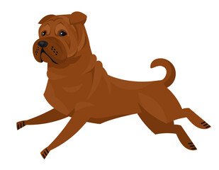 Running Shar Pei. Beautiful pet in cartoon style.