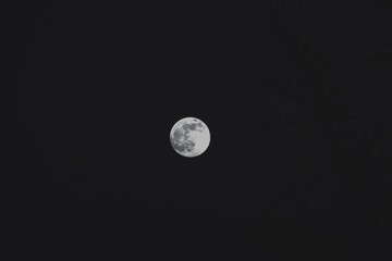 Moon, monochrome, night shot, moonlight 
