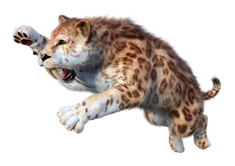 3D Rendering Sabertooth Tiger on White