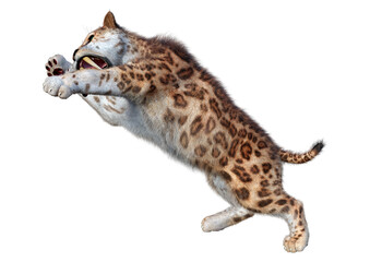 3D Rendering Sabertooth Tiger on White
