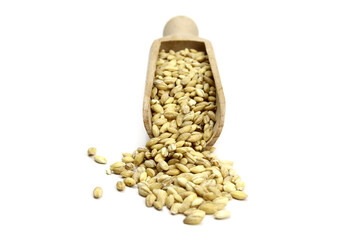 pearl barley in a wooden scoop isolated on white background