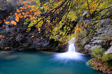 Autumn image of a waterfall in the Urederra River Natural Reserve. Navarre. Spain