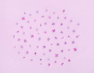 little lilac flowers on pink background banner spring summer