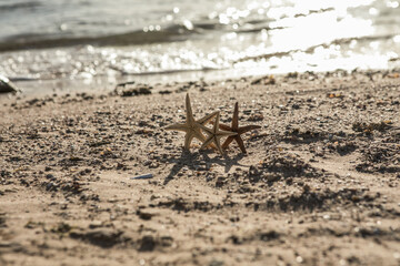 Starfish standing on golden sand near sea on sunny day. Romantic summer vacation concept. Summer wallpaper or background