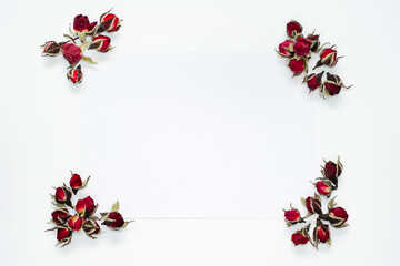 Rose bud frame corners on white background. Greeting card