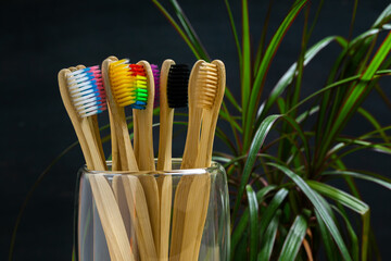 Toothbrushes made of bamboo with colorful bristles are placed in a glass cup on a dark background.