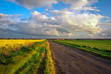 Village Road in Ukraine with fields and blue cloudy sky at sunset