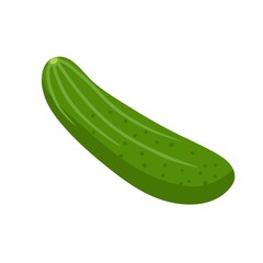 Cucumber isolated on white. Healthy eating design. Vegetable Ingredients for cooking. Flat design for menu, cafe, restaurant, farmers market, vegetarian salad recipe, poster, banner, emblem, sticker