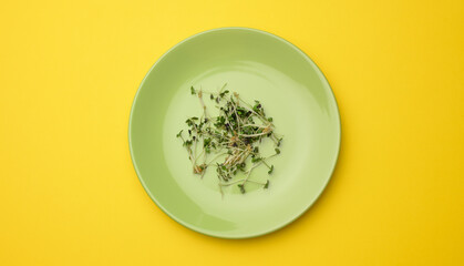 green sprouts of chia, arugula and mustard in a white round plate, top view. A healthy food...