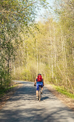 Obraz premium The cyclist rides along a forest road.