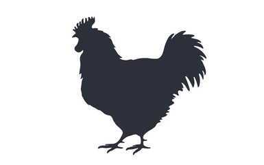 Rooster, chicken, hen, silhouette. Black white silhouette of rooster or hen. Vintage logo, retro print for Butchery meat shop, restaurant menu, rooster silhouette. Vector Illustration