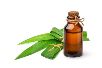 Pandan (screwpine) essential oil with fresh leaves isolated on white background.
