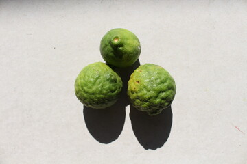 Model of citrus fruit  with shadow for drawing