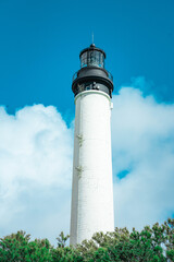 Phare de Biarritz avec mouette