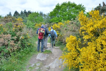Obraz premium Retired hikers on a path in Brittany. France