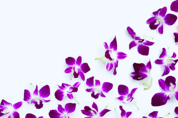 Obraz na płótnie Canvas Beautiful purple orchid flowers on white background.