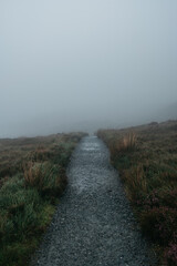 path in the fog