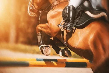 Foto op Canvas Rear view as a bay racehorse with a rider in the saddle quickly jumps over the high yellow barrier in a show jumping competition, illuminated by sunlight. Horse riding. Equestrian sports. ©  Valeri Vatel