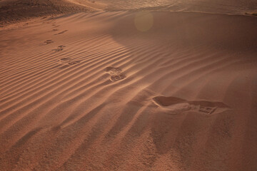 Fototapeta na wymiar Sunset over the sand dunes in the desert.