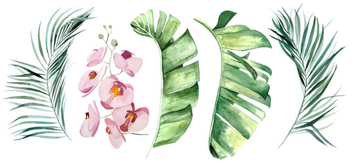 Watercolor tropical leaves and flowers illustration © katrinshine
