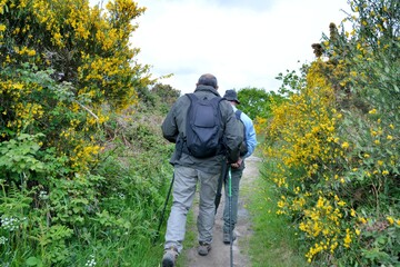 Fototapeta na wymiar Retired hikers on a path in Brittany. France