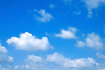 澄み切った青空に綿雲が浮かぶ