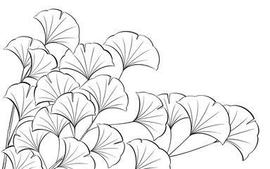 Digital illustration of ginkgo leaves, black and white.