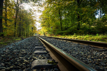 Railroad tracks in a Gribskov Forest near Copenhagen, Denmark - obrazy, fototapety, plakaty