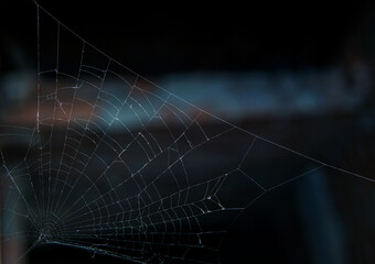 - Dark Spider -