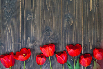 Fototapeta na wymiar red tulips are laid out on a wooden dark background. Mockup, place for text.